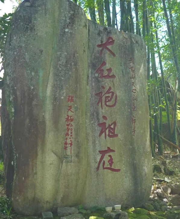 茶知识｜聊聊“大红袍“那些你不知道的事